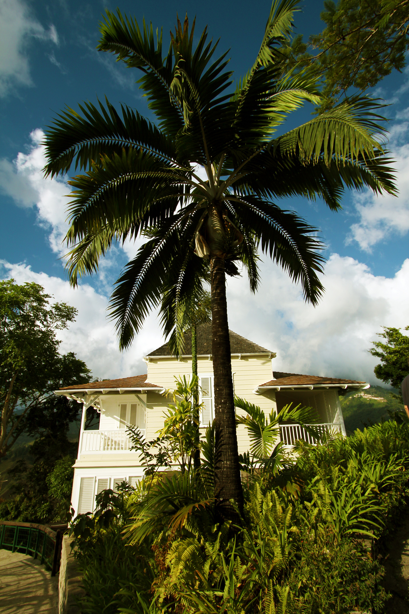 Strawberry Hill, Jamaica 